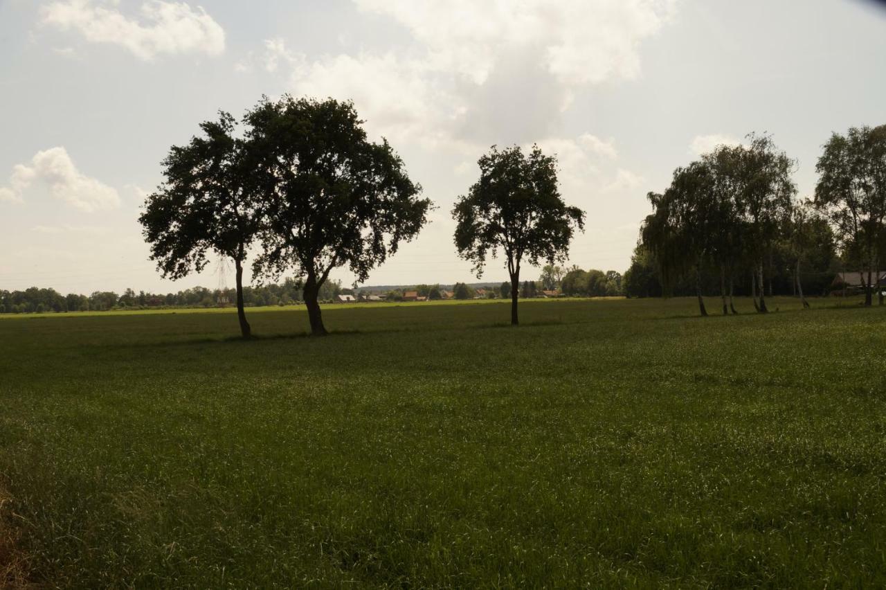 Kampenhof Villa Maaseik Luaran gambar